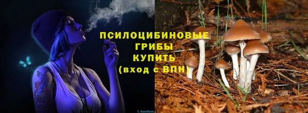 СК Володарск