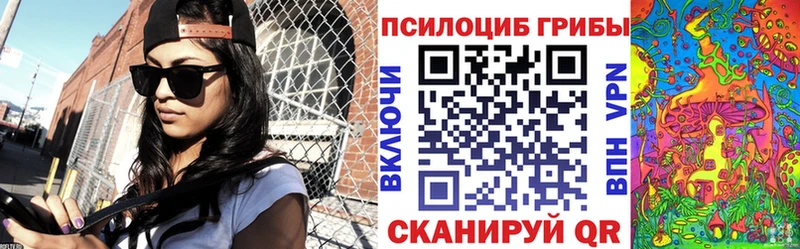 Псилоцибиновые грибы GOLDEN TEACHER Купить закладки Вятские Поляны