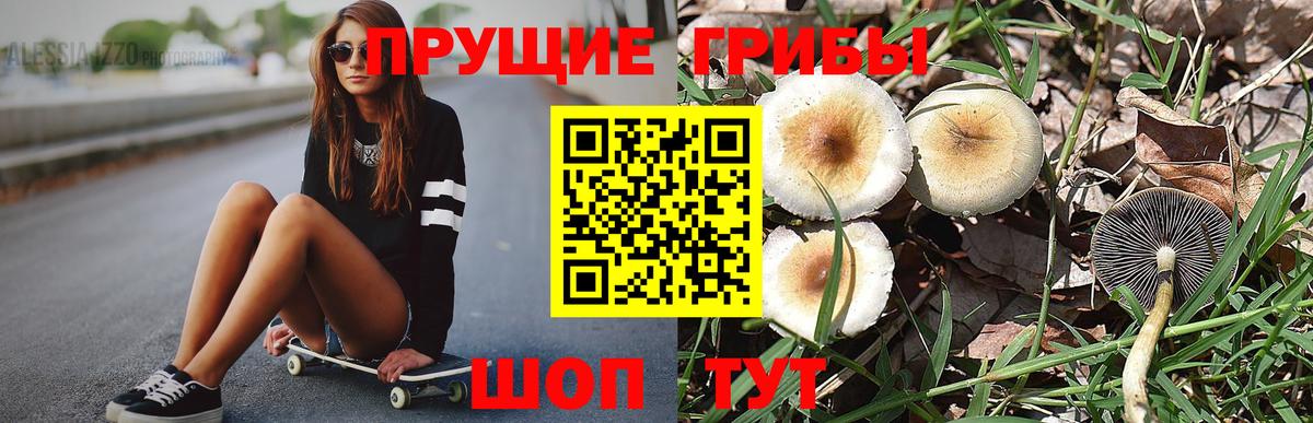 Галлюциногенные грибы Magic Shrooms Вятские Поляны