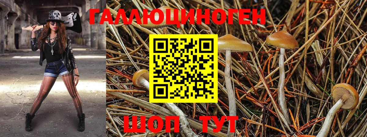 Псилоцибиновые грибы прущие грибы  Псилоцибиновые грибы мухоморы  Вятские Поляны 