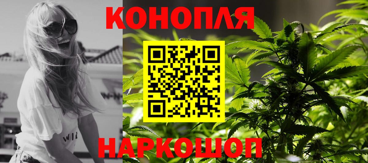 Бошки Шишки конопля  Вятские Поляны  Канабис Bruce Banner  Конопля семена  Конопля SATIVA & INDICA 